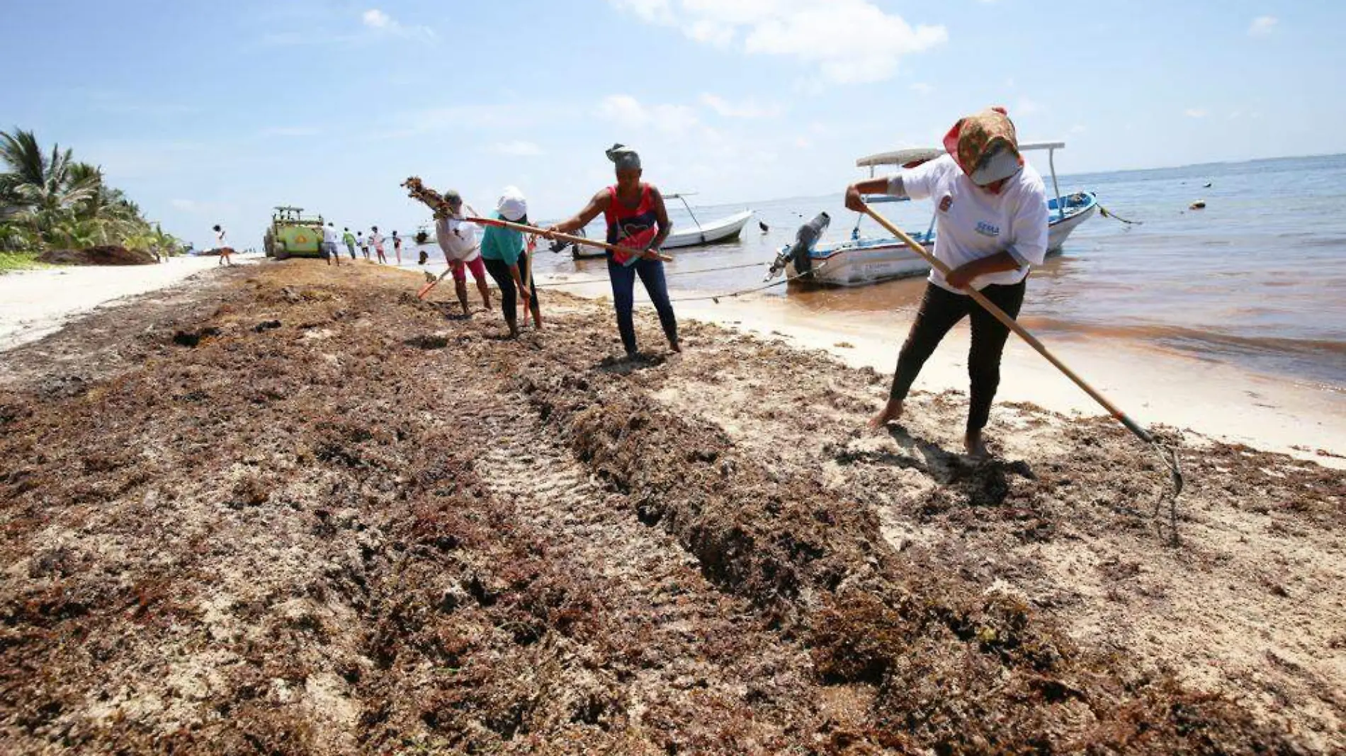 Limpieza de Playas Sargazo